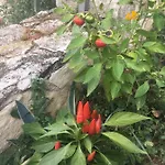 פארק נופש Villaggio Elisena