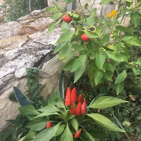 Kompleks wypoczynkowy Villaggio Elisena