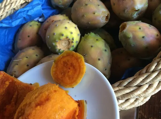 منتزه العطل Villaggio Elisena فيستَ