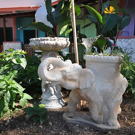 Πάρκο διακοπών Villaggio Elisena Βιέστε